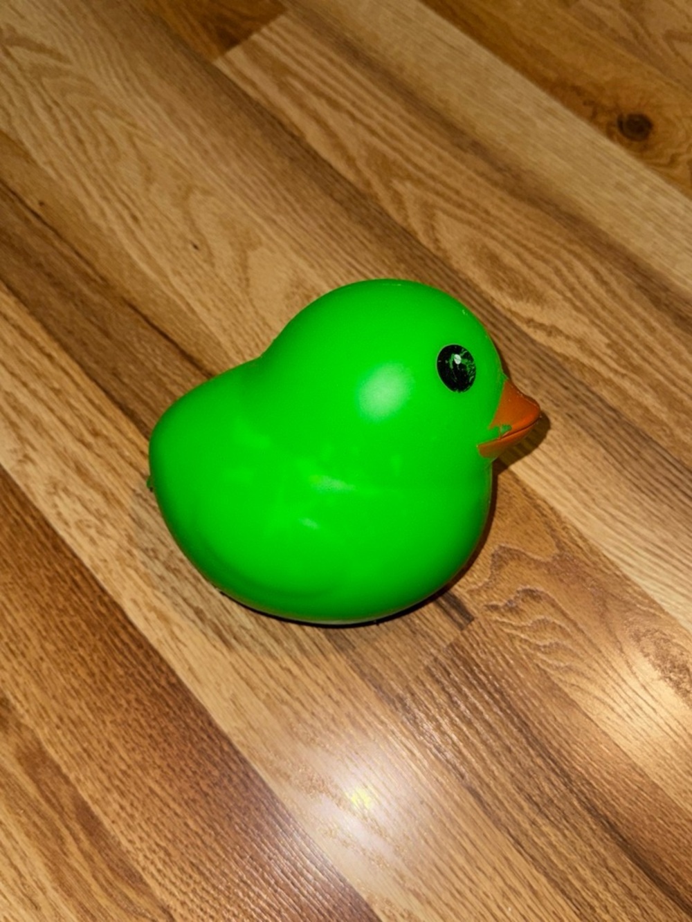 Green Rubber Duck Stress Toy
